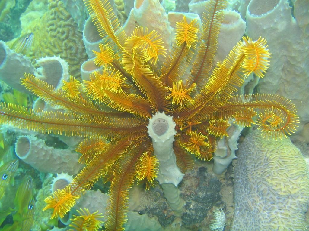 Sunset Bay Club & Seaside Dive Resort Salisbury 외부 사진